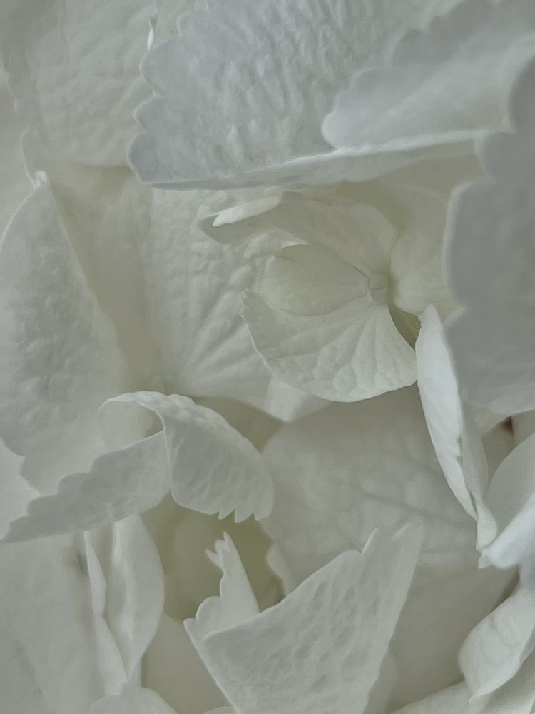 Фотография автора Александра Евченко