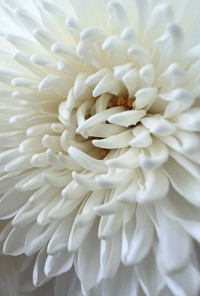 Фотография автора Александра Евченко