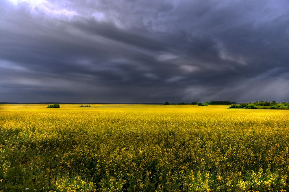 Photograph by федотов Алексей