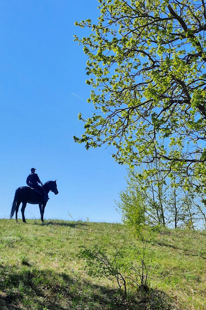 Photograph by Елена Носова