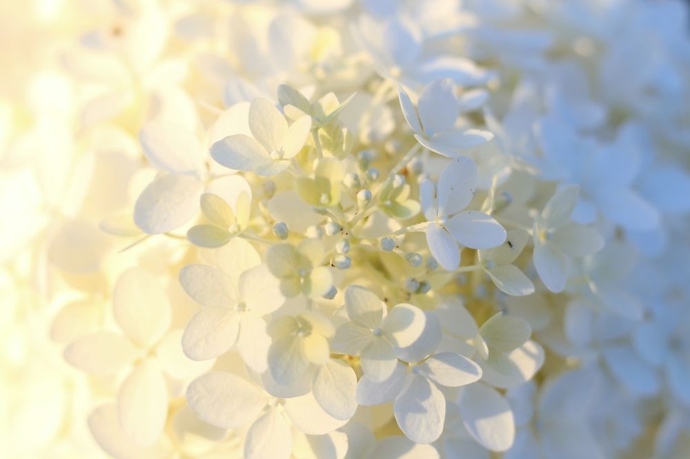 Photograph by Елена Носова