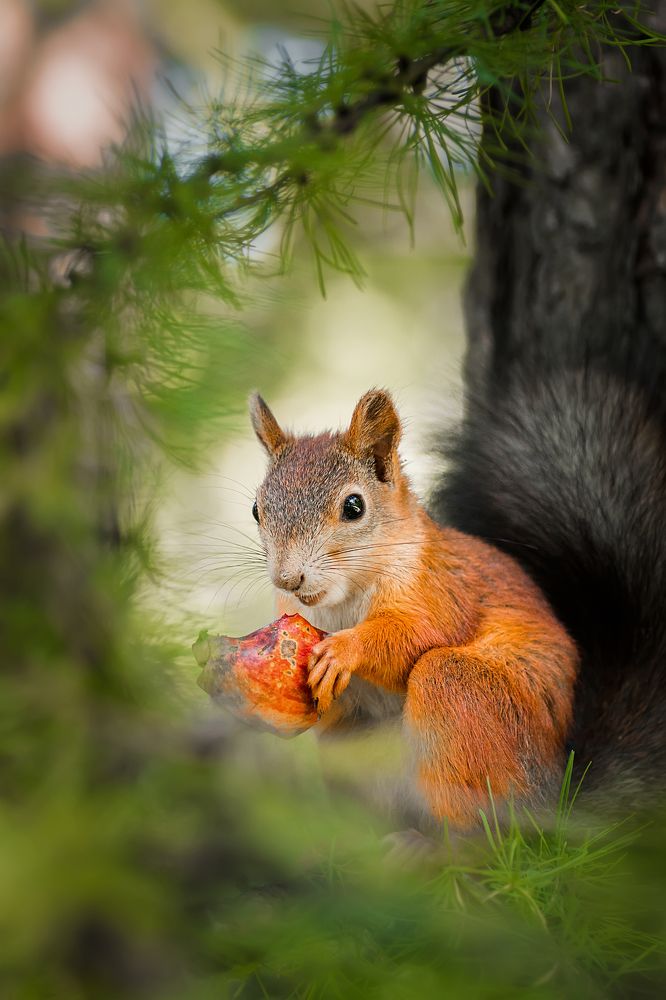 Фотография автора AlexBush