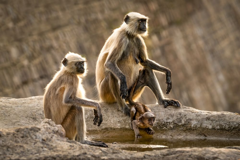 Photograph by Николай Мозгунов