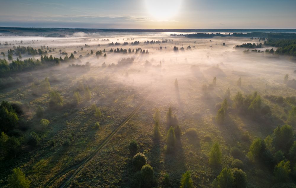 Photograph by Александр Чибиркин