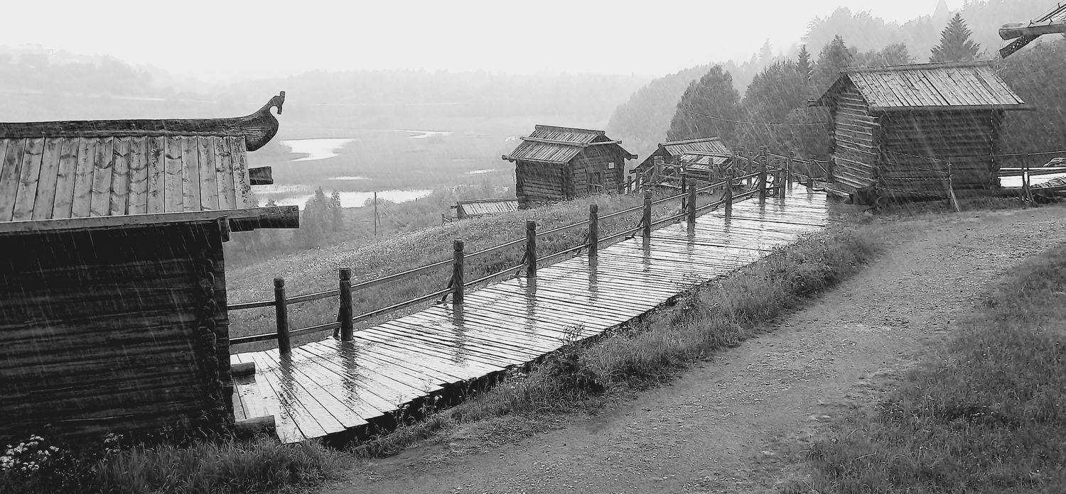 Photo #9481668