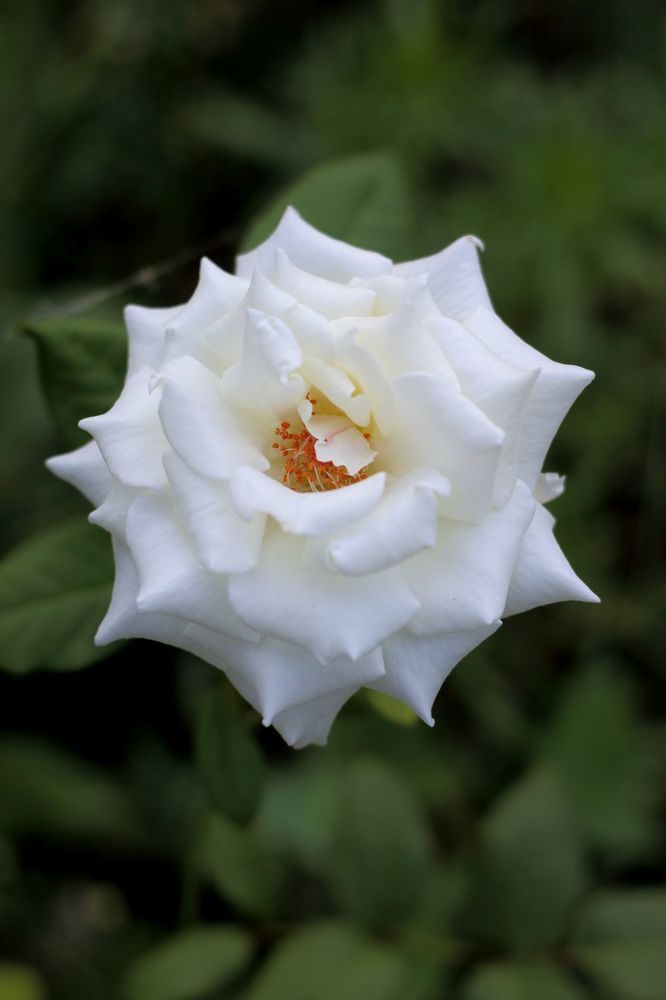 Photograph by Юрий Варюхин