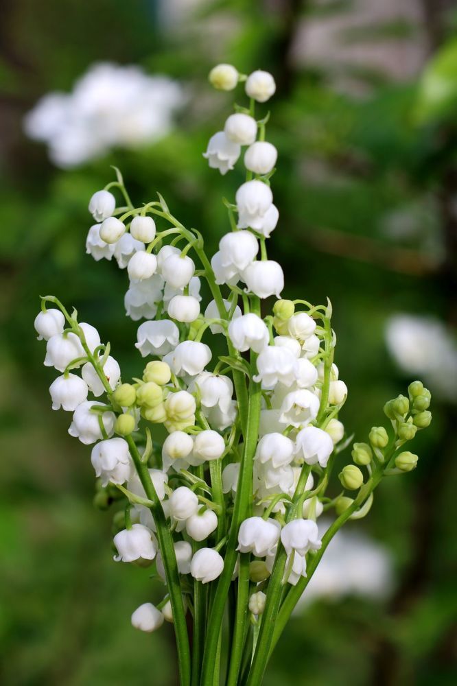 Photograph by Юрий Варюхин