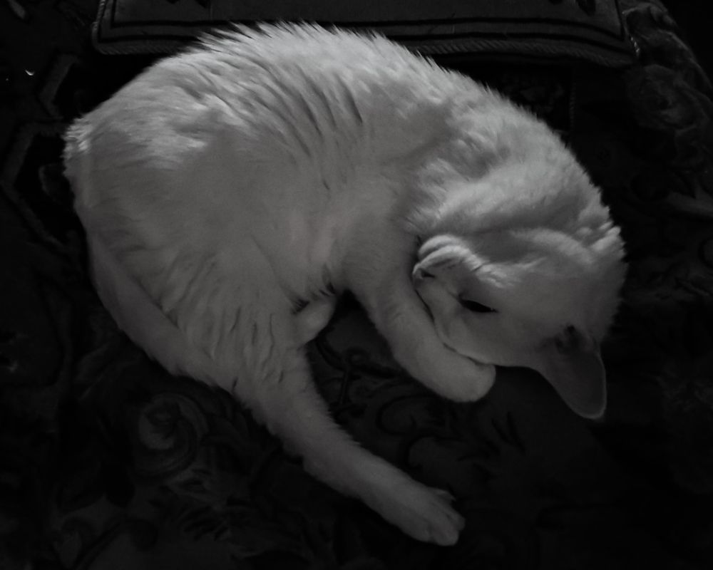 Photograph by Наталья Трофимова