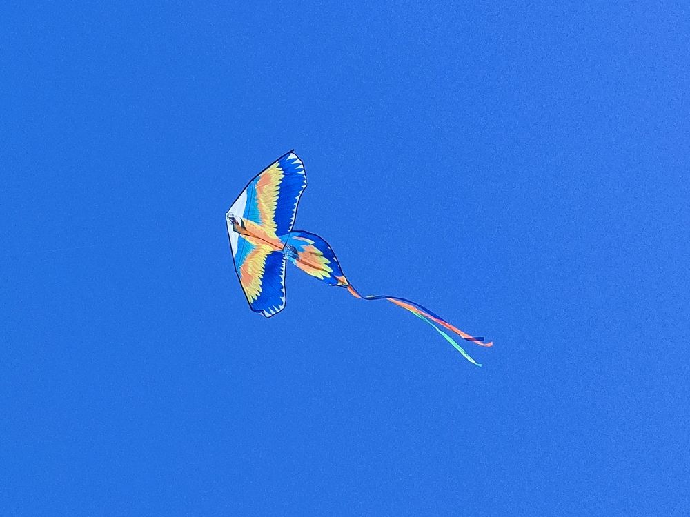 Воздушный змей