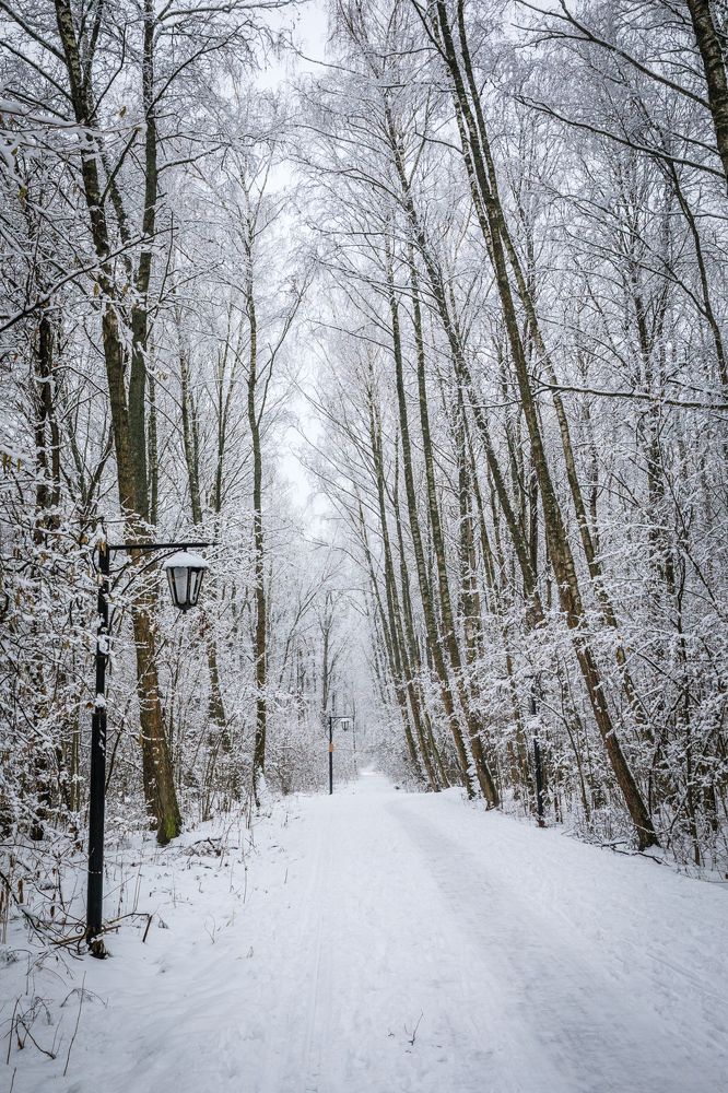Photograph by Делана Романова