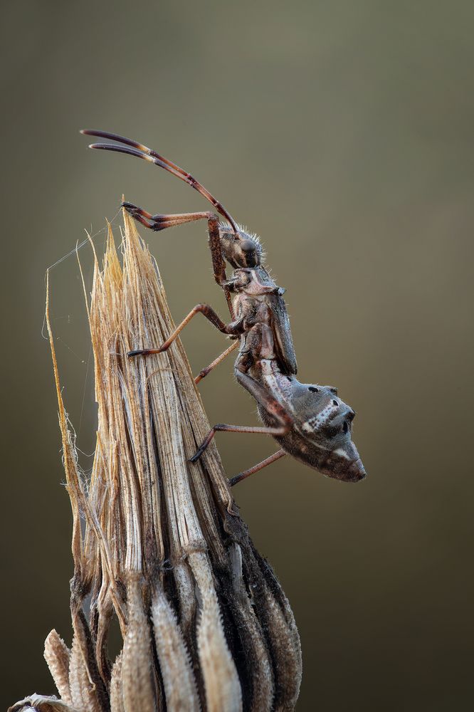 Фотография автора Андрей Жила