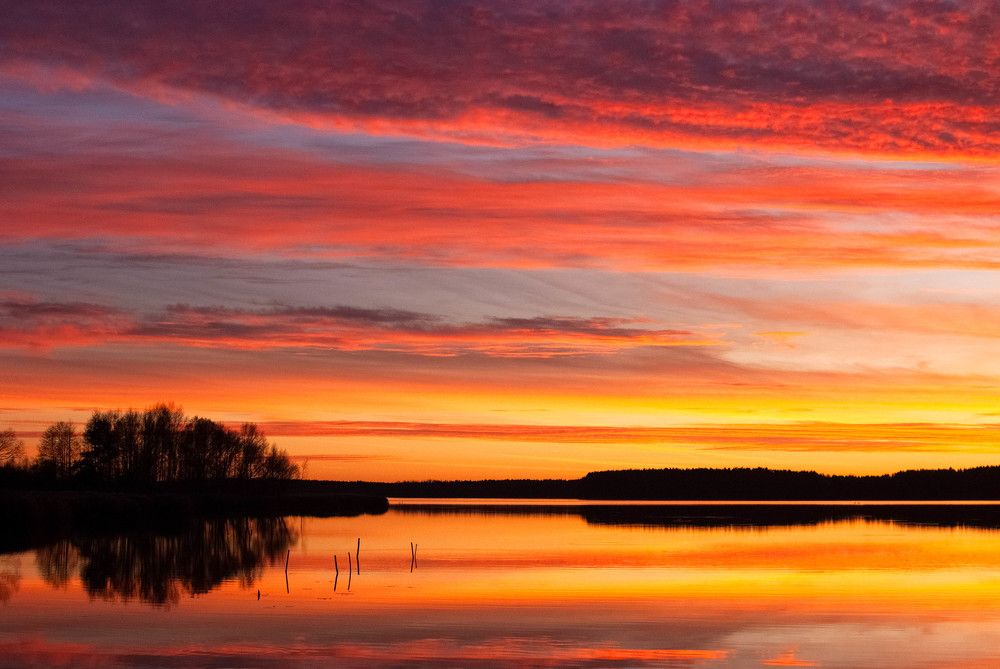 Фотография автора Александр Буренко