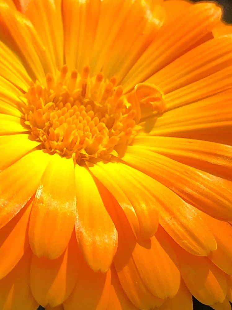 Photograph by Halina Mitsevich