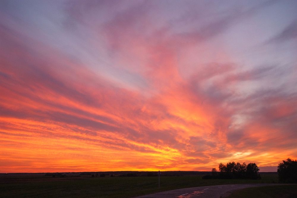 Фотография автора Александр Буренко