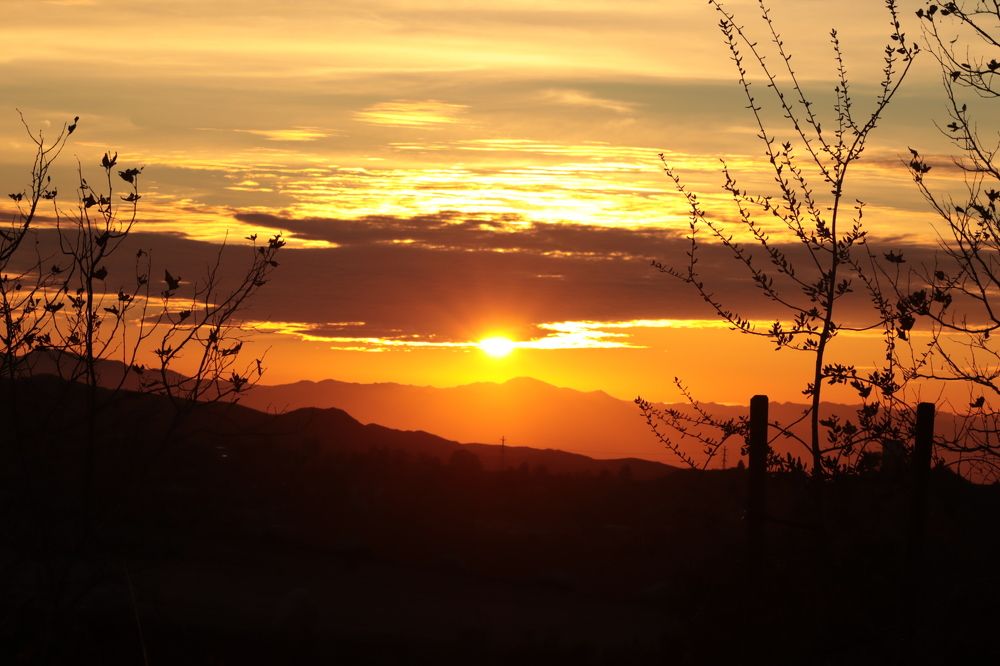 Photograph by Евгений Власов