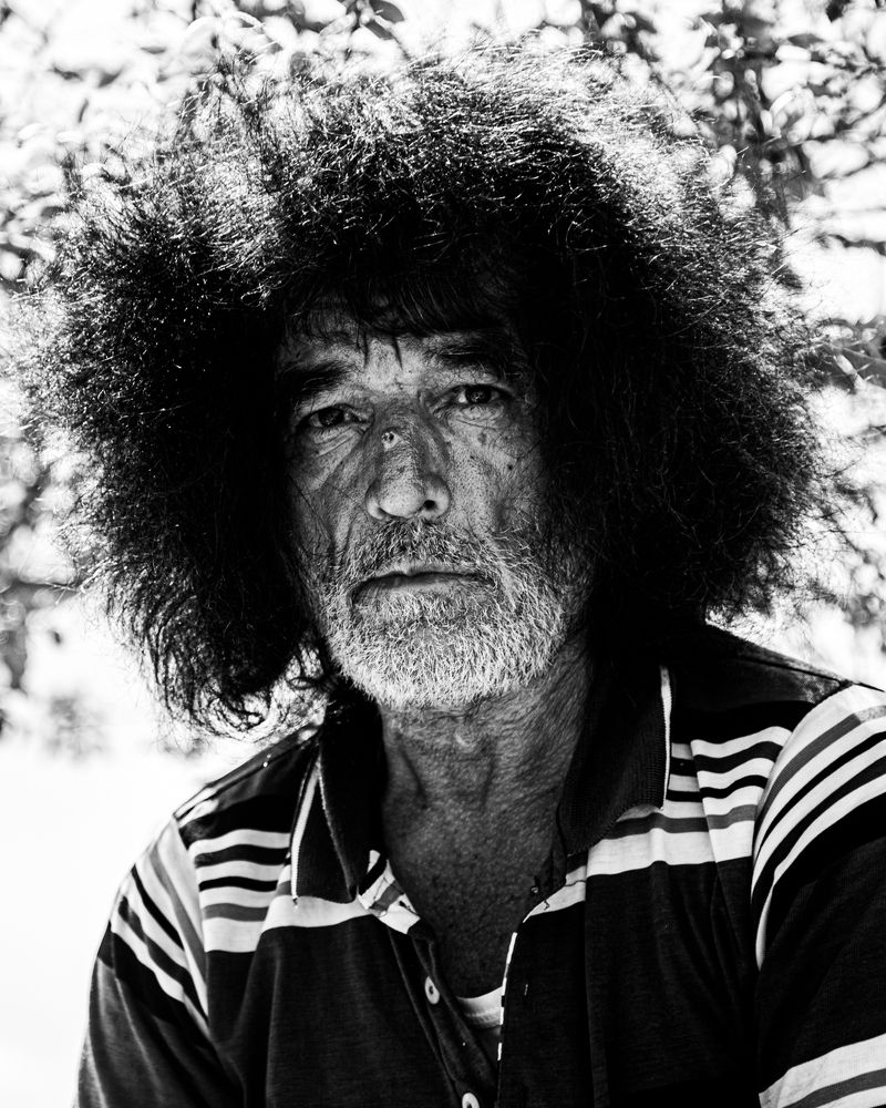 Photograph by seyed mostafa yousefi