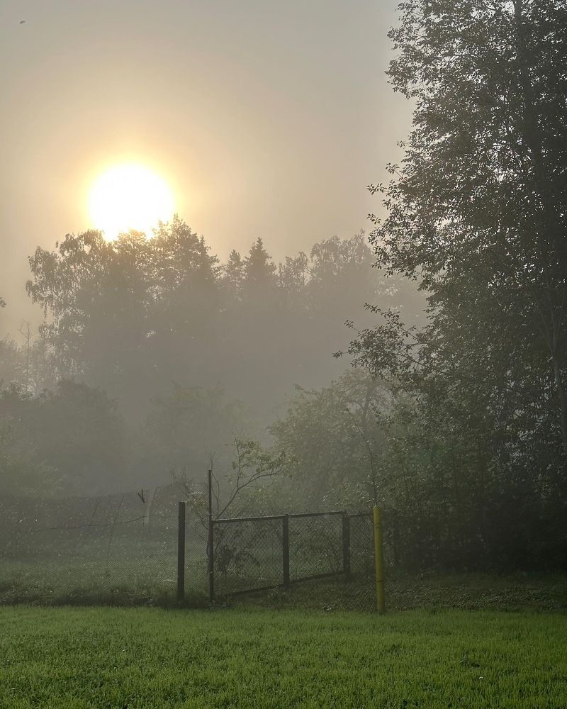 Photograph by Лариса Акинчиц