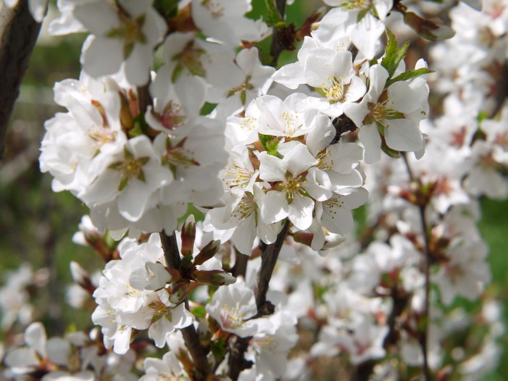 Photograph by Баженова Наталья