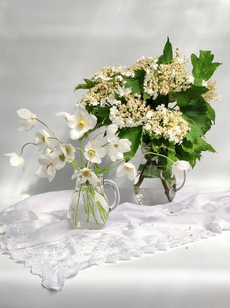 Photograph by Надежда Батракова