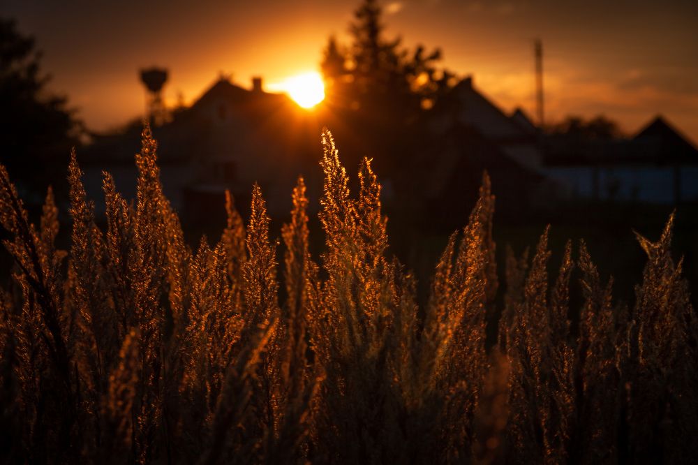 Photograph by Диана Бородзе