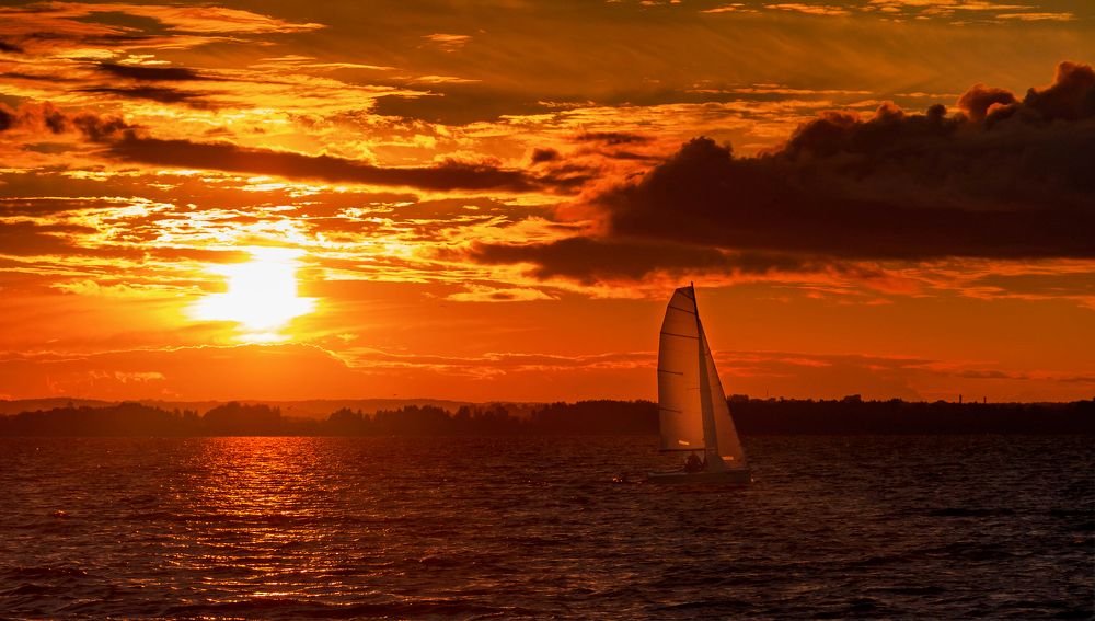 Photograph by Диана Бородзе