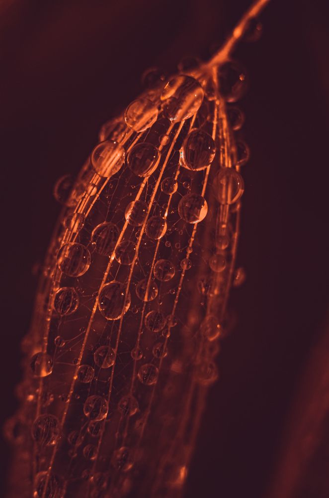 Воздух, пламя, вода