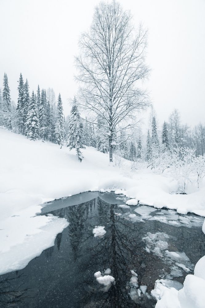 Photograph by Артем Штылев