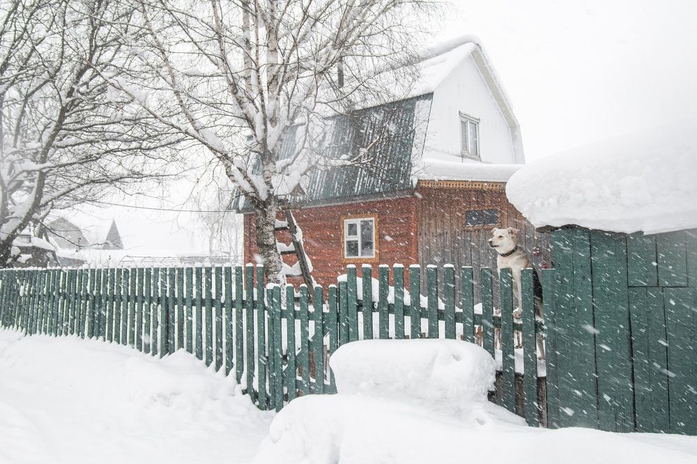 Photograph by Артем Штылев