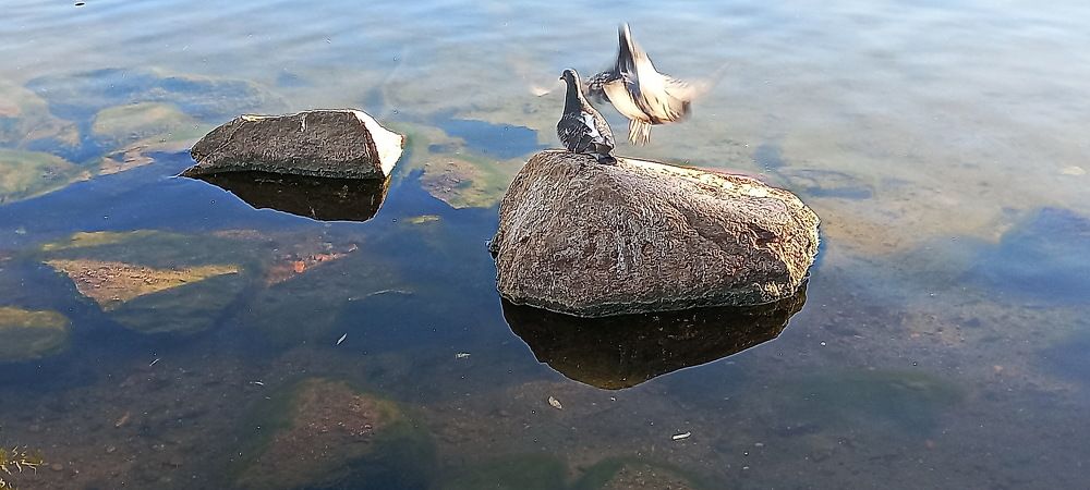 Photograph by Александр