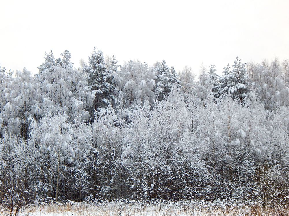Photograph by Александр Шувалов
