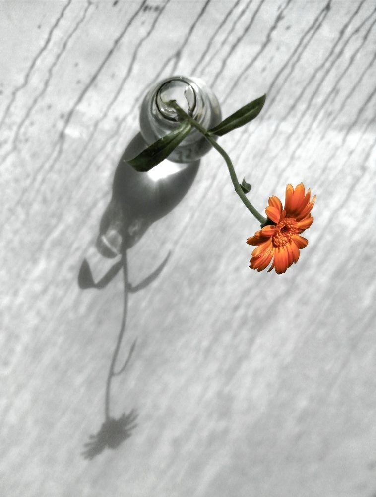 Photograph by Ольга Мокрова