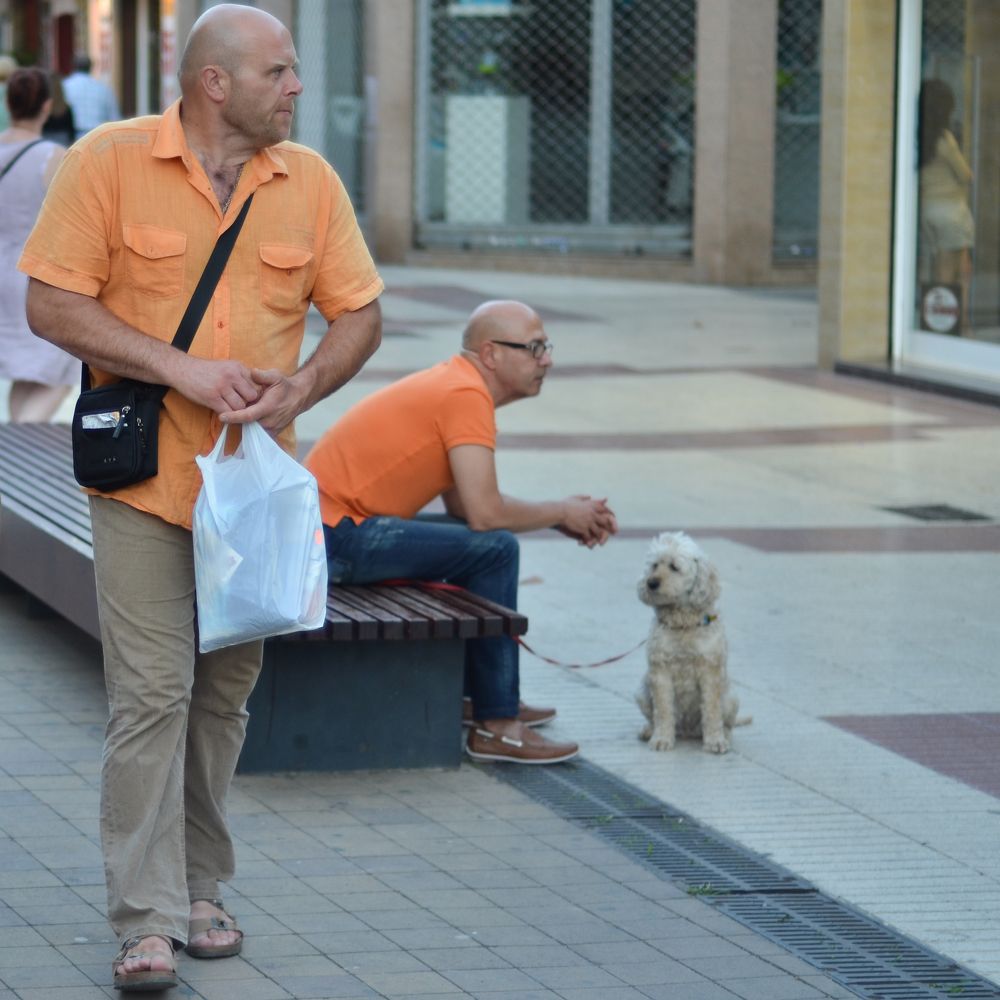 Photograph by Михаил Богачев