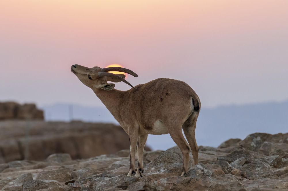 Фотография автора Nikolay Tatarchuk