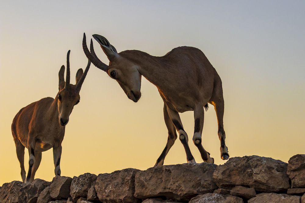 Photograph by Nikolay Tatarchuk