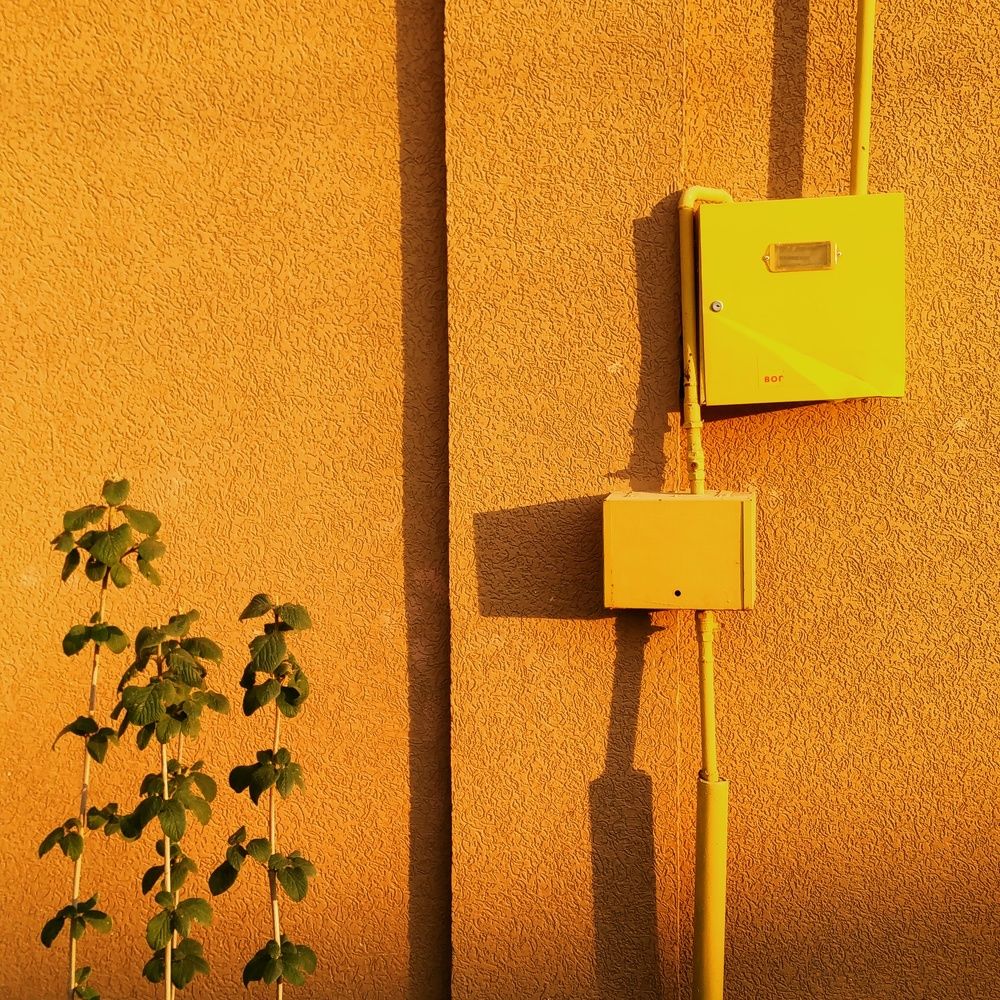 Photograph by Михаил Богачев