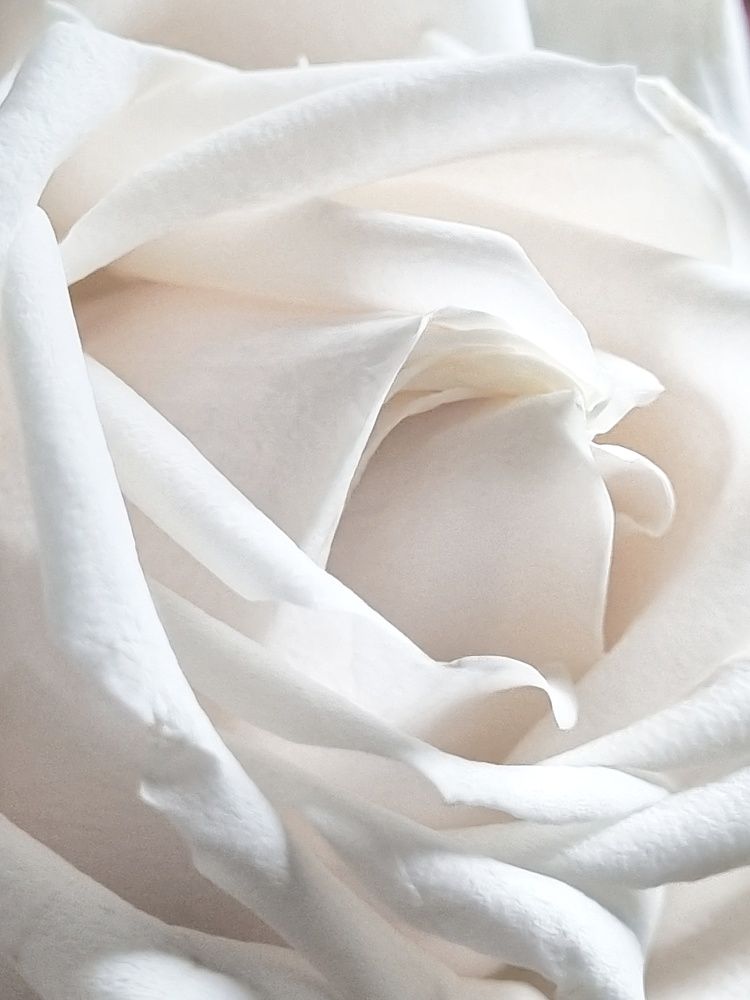 Photograph by Hanna Bourne