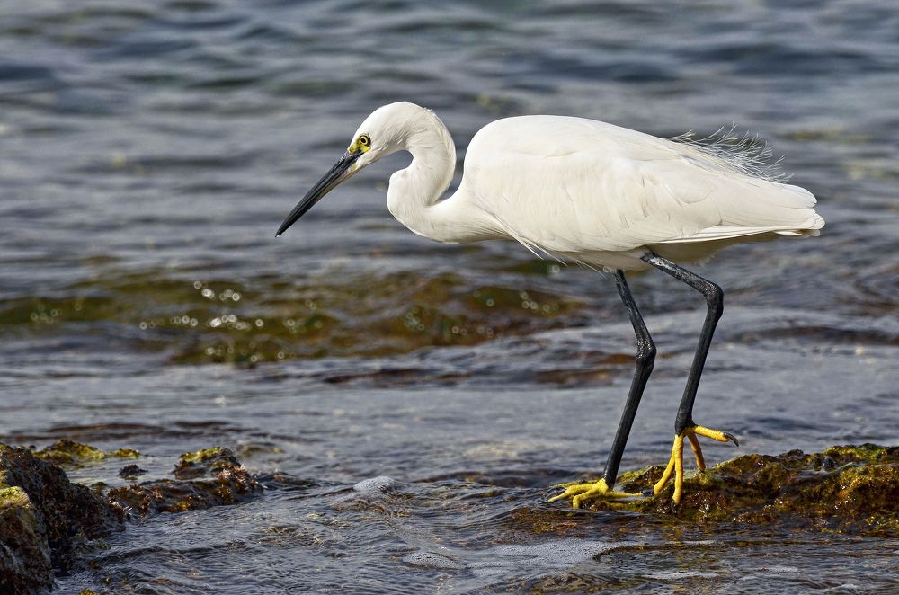 Photograph by Валерий