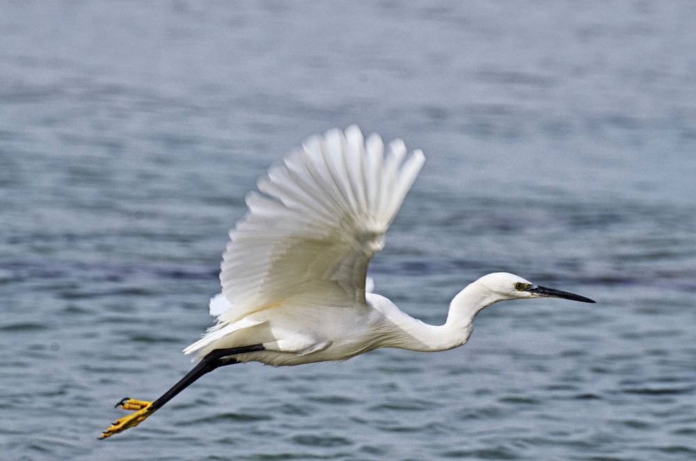 Photograph by Валерий