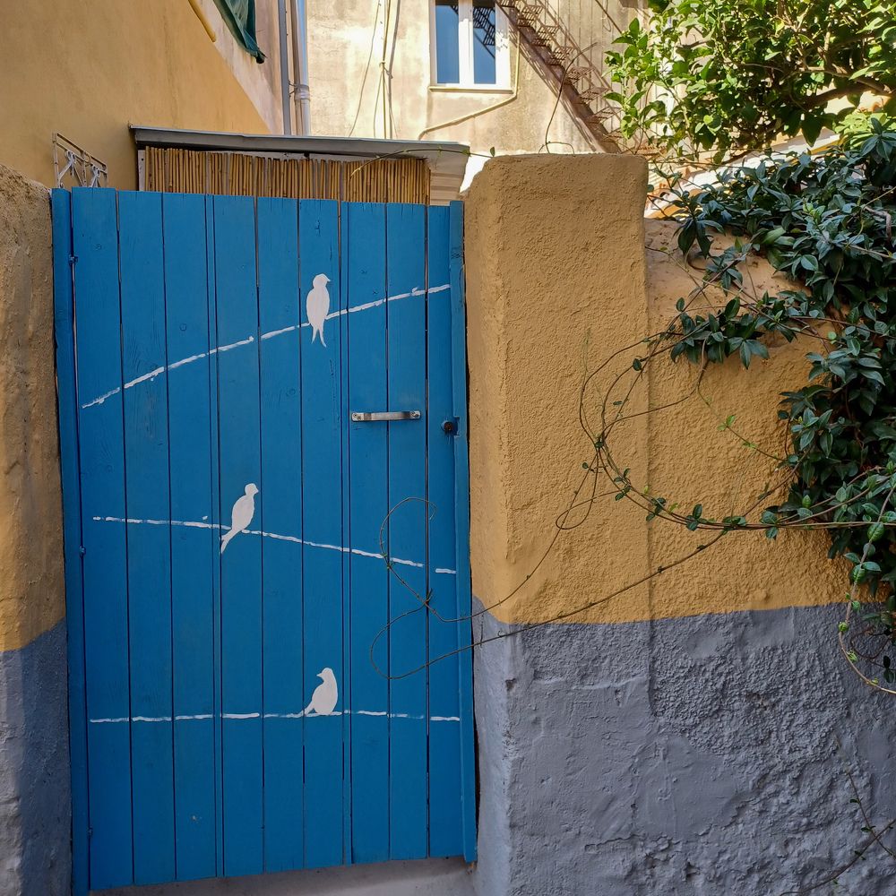 Фотография автора DIMITRIS MPAZIOTOPOULOS