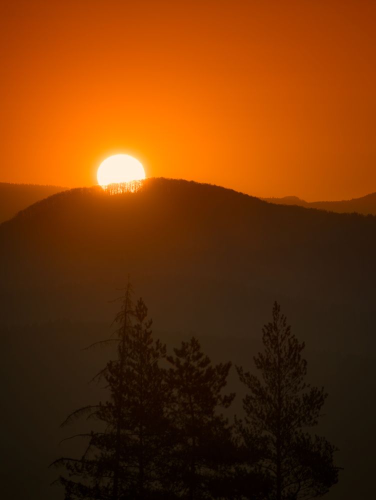 Photograph by Lara Iris