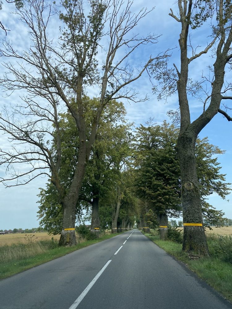 Photograph by Светлана Яковлева