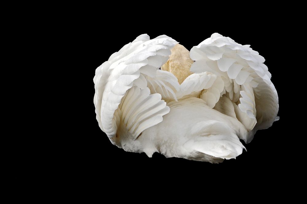 Фотография автора Антип