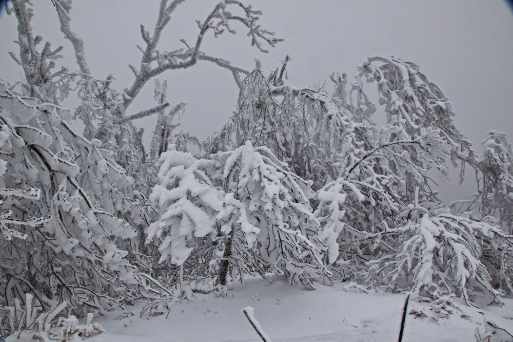 Photograph by Александр