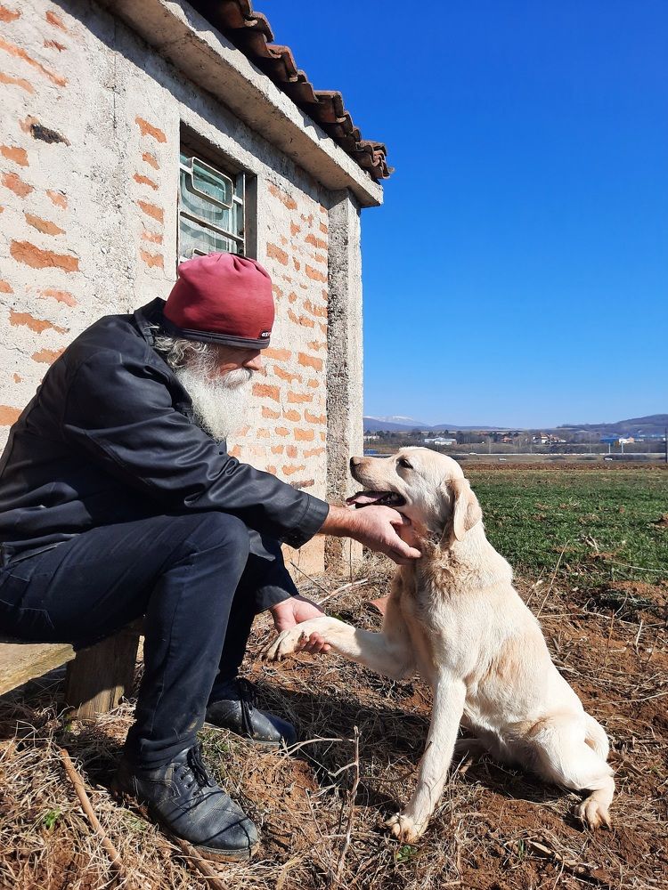 Фотография автора JELENA VASIC