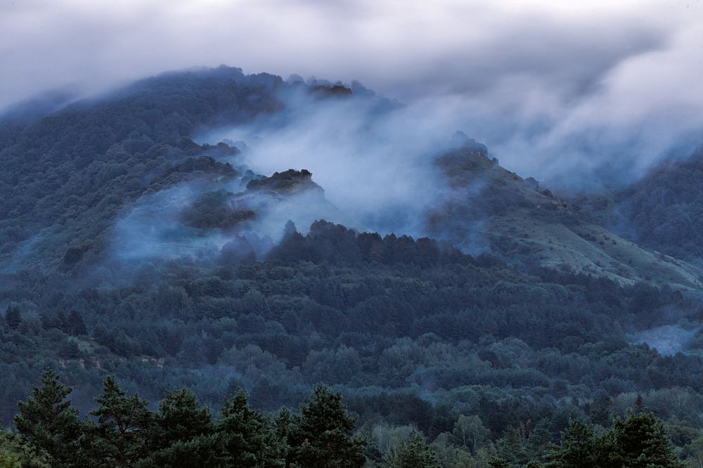 Photograph by Виталий Са