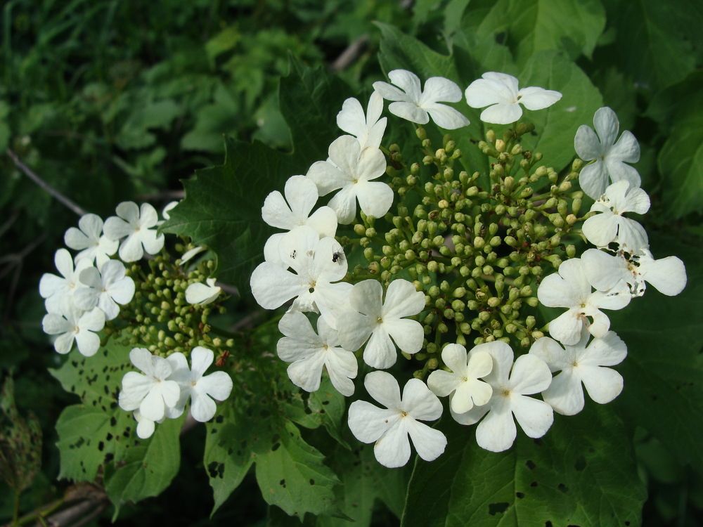 Photograph by Николай Худяков