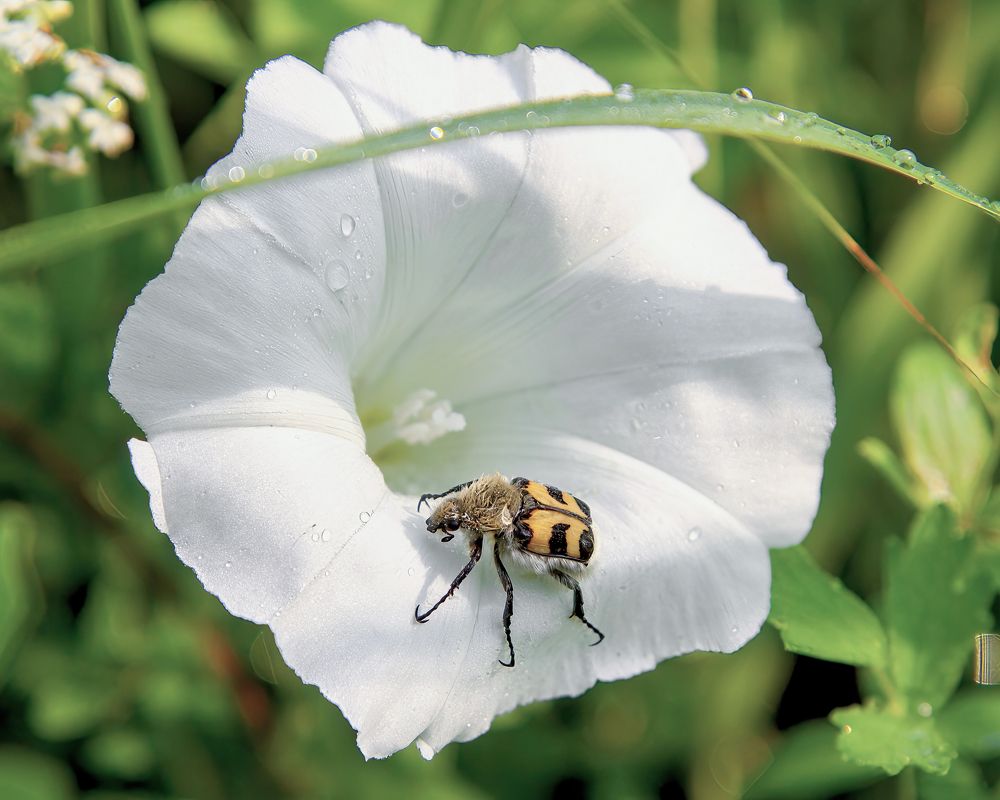 Photograph by Юрий Спасенников