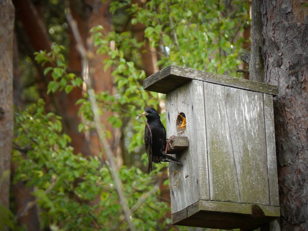 Photograph by Диана Бородзе