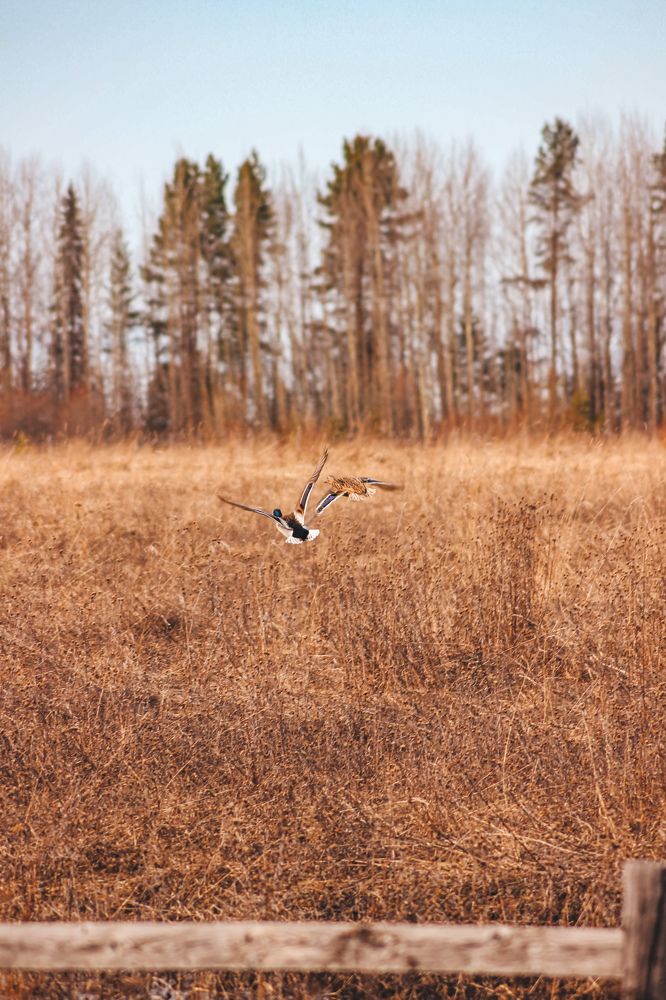 Photograph by Марина Копылова