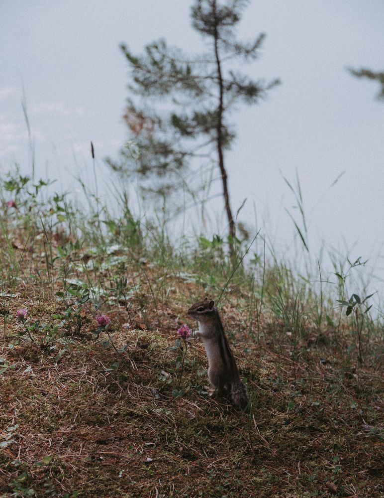 Photograph by Марина Копылова